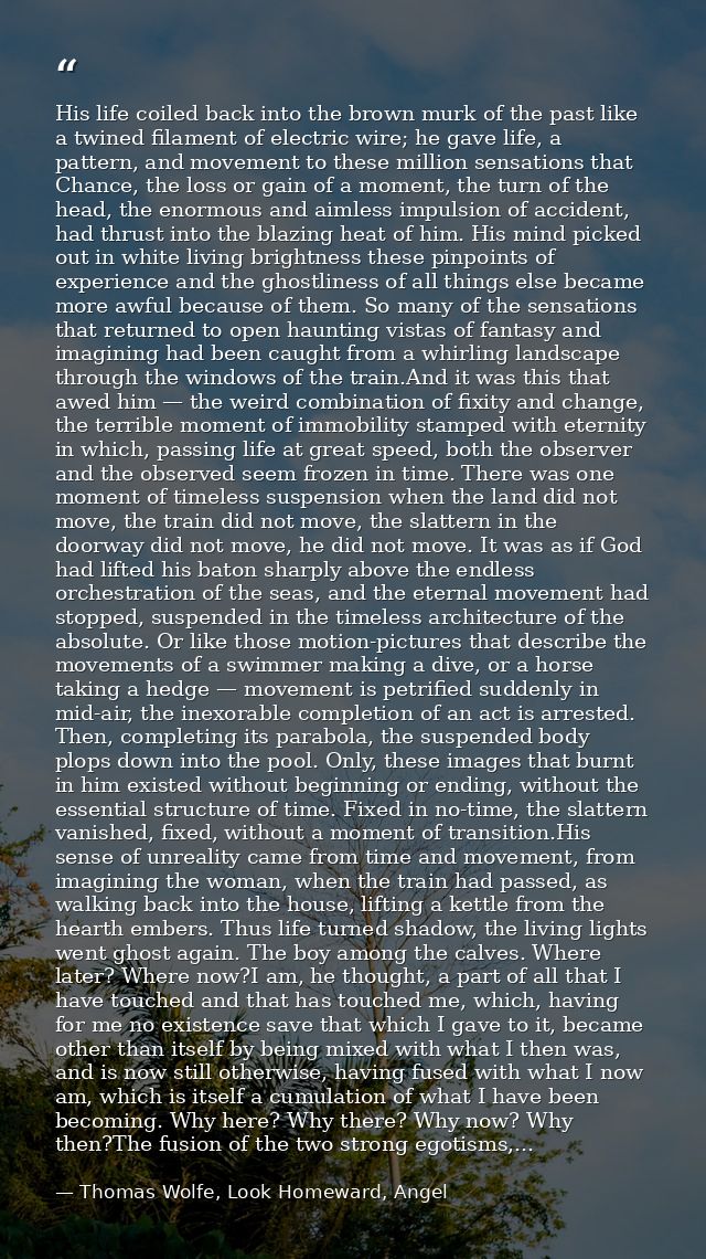 His life coiled back into the brown murk of the past like a twined filament of electric wire; he gave life, a pattern, a — Thomas Wolfe, Look Homeward, Angel