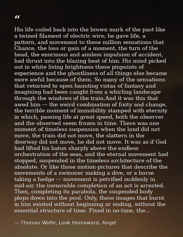 His life coiled back into the brown murk of the past like a twined filament of electric wire; he gave life, a pattern, a — Thomas Wolfe, Look Homeward, Angel