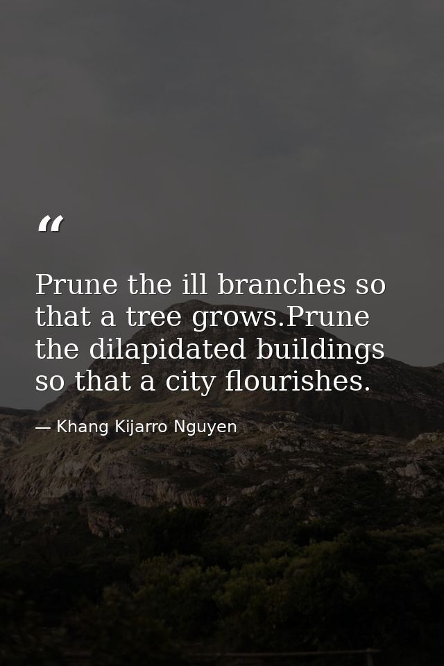 Prune the ill branches so that a tree grows.Prune the dilapidated buildings so that a city flourishes. — Khang Kijarro Nguyen