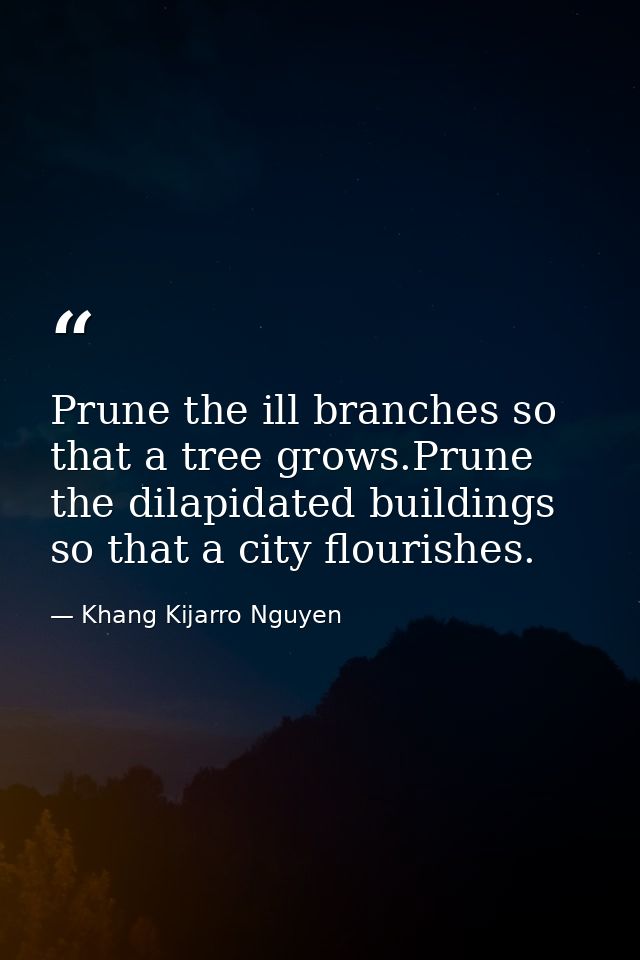 Prune the ill branches so that a tree grows.Prune the dilapidated buildings so that a city flourishes. — Khang Kijarro Nguyen