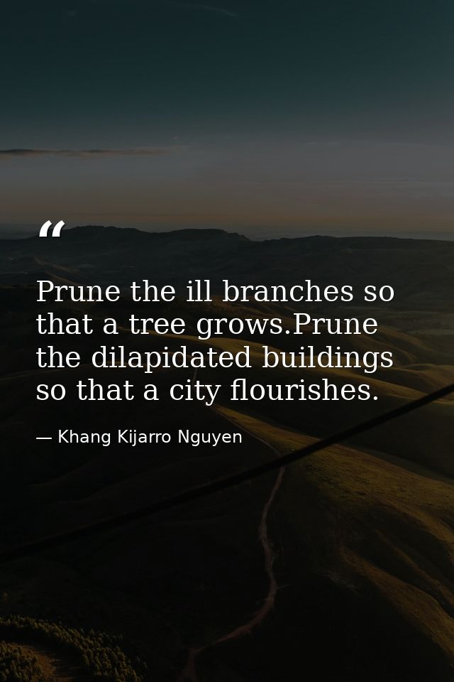 Prune the ill branches so that a tree grows.Prune the dilapidated buildings so that a city flourishes. — Khang Kijarro Nguyen