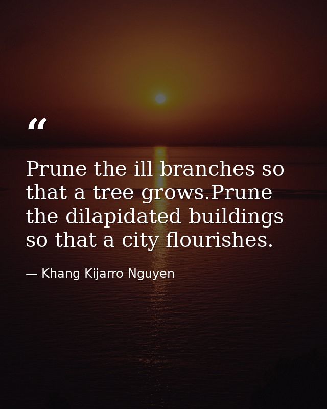Prune the ill branches so that a tree grows.Prune the dilapidated buildings so that a city flourishes. — Khang Kijarro Nguyen