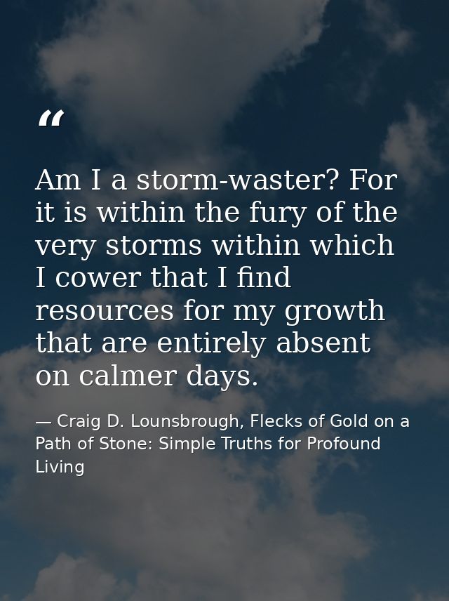 Am I a storm-waster? For it is within the fury of the very storms within which I cower that I find resources for my grow — Craig D. Lounsbrough, Flecks of Gold on a Path of Stone: Simple Truths for Profound Living