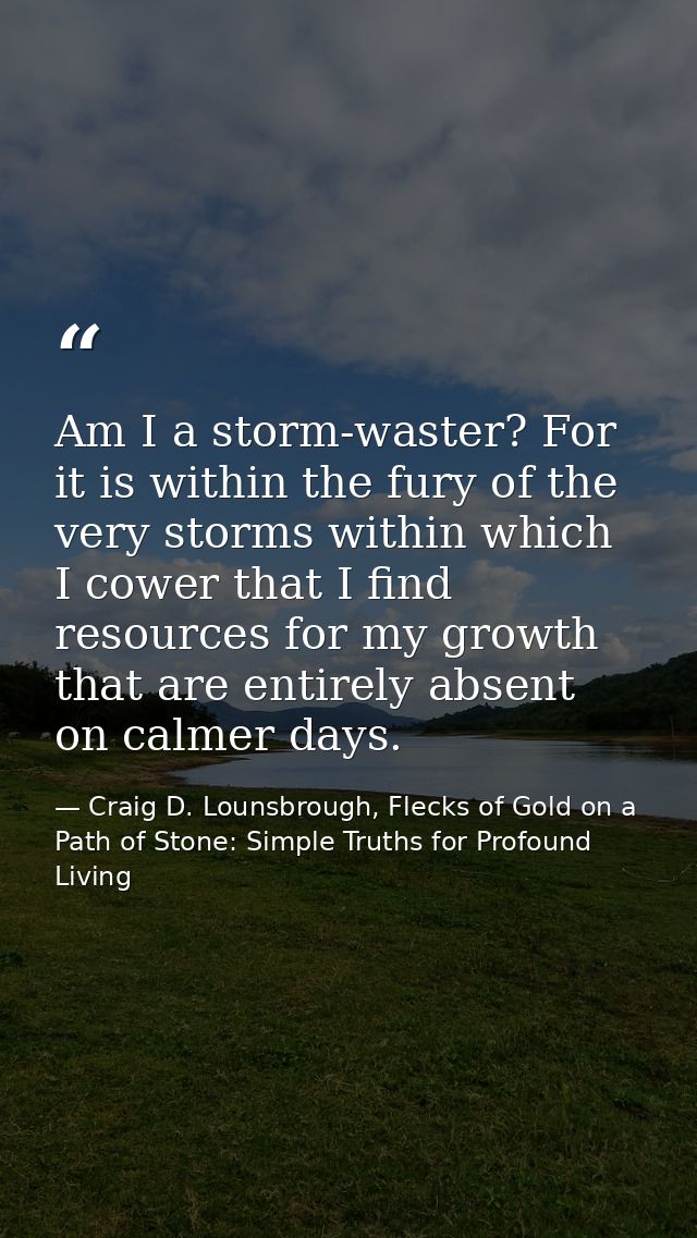Am I a storm-waster? For it is within the fury of the very storms within which I cower that I find resources for my grow — Craig D. Lounsbrough, Flecks of Gold on a Path of Stone: Simple Truths for Profound Living