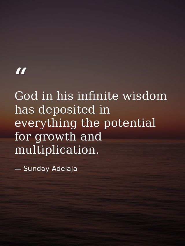 God in his infinite wisdom has deposited in everything the potential for growth and multiplication. — Sunday Adelaja
