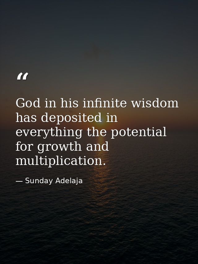 God in his infinite wisdom has deposited in everything the potential for growth and multiplication. — Sunday Adelaja