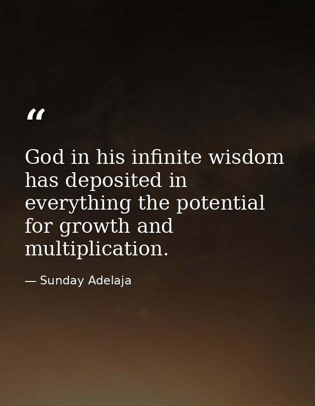 God in his infinite wisdom has deposited in everything the potential for growth and multiplication. — Sunday Adelaja