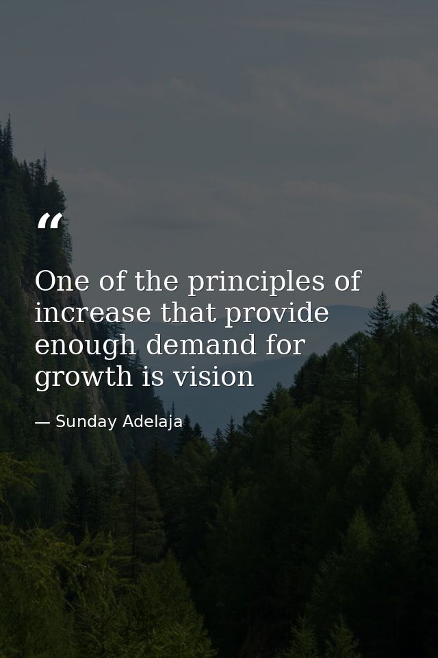 One of the principles of increase that provide enough demand for growth is vision — Sunday Adelaja