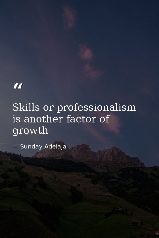 Skills or professionalism is another factor of growth — Sunday Adelaja