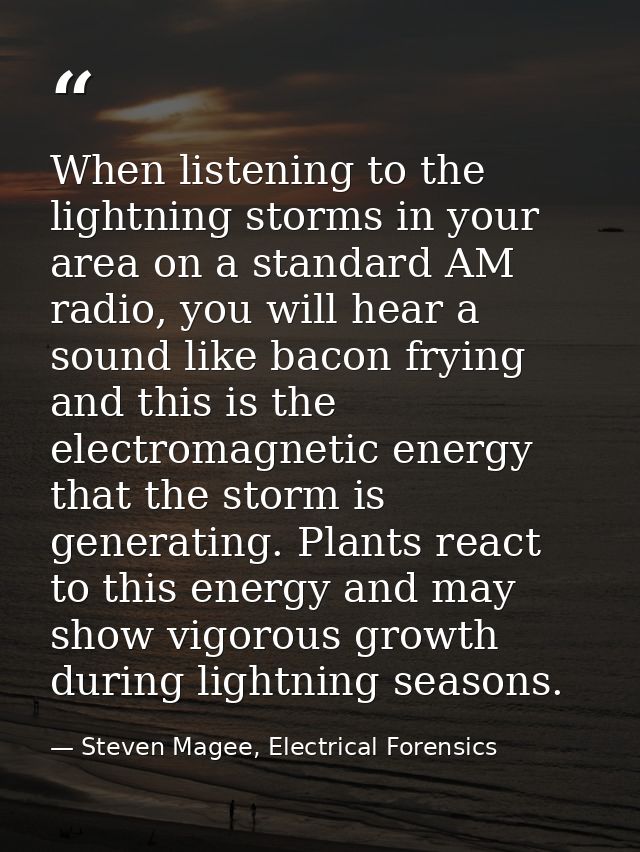 When listening to the lightning storms in your area on a standard AM radio, you will hear a sound like bacon frying and  — Steven Magee, Electrical Forensics