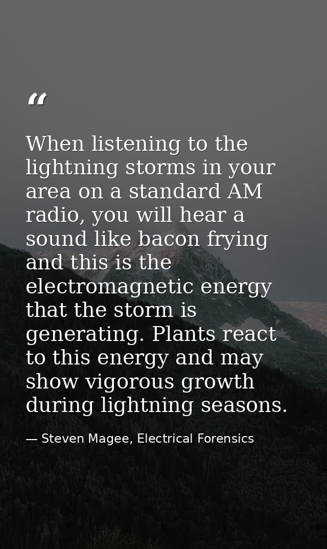 When listening to the lightning storms in your area on a standard AM radio, you will hear a sound like bacon frying and  — Steven Magee, Electrical Forensics