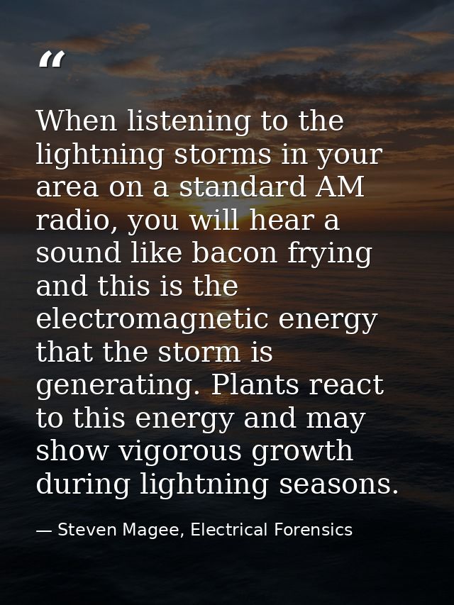 When listening to the lightning storms in your area on a standard AM radio, you will hear a sound like bacon frying and  — Steven Magee, Electrical Forensics