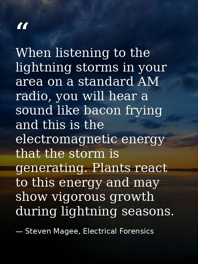 When listening to the lightning storms in your area on a standard AM radio, you will hear a sound like bacon frying and  — Steven Magee, Electrical Forensics