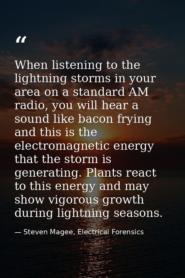 When listening to the lightning storms in your area on a standard AM radio, you will hear a sound like bacon frying and  — Steven Magee, Electrical Forensics