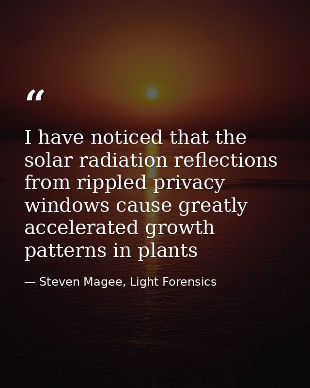 I have noticed that the solar radiation reflections from rippled privacy windows cause greatly accelerated growth patter — Steven Magee, Light Forensics