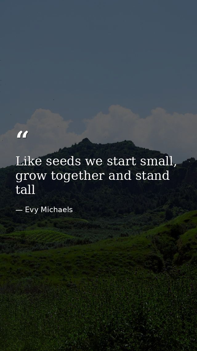 Like seeds we start small, grow together and stand tall — Evy Michaels