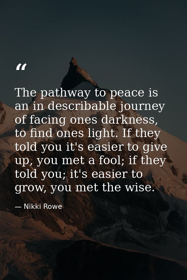 The pathway to peace is an in describable journey of facing ones darkness, to find ones light. If they told you it's eas — Nikki Rowe