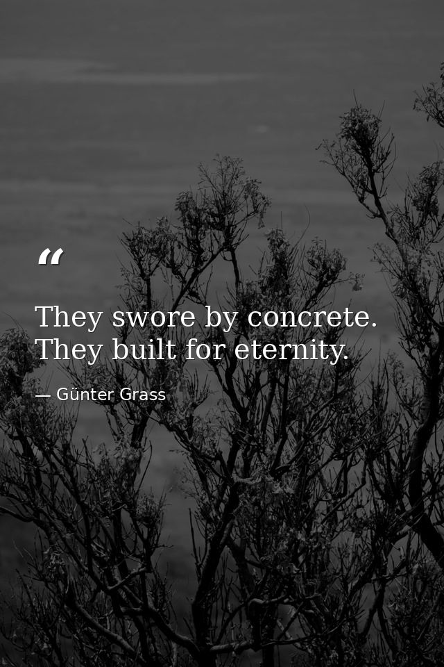 They swore by concrete. They built for eternity. — Günter Grass
