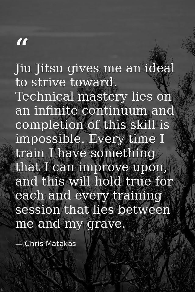 Jiu Jitsu gives me an ideal to strive toward. Technical mastery lies on an infinite continuum and completion of this ski — Chris Matakas