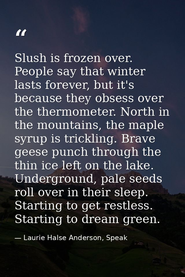 Slush is frozen over. People say that winter lasts forever, but it's because they obsess over the thermometer. North in  — Laurie Halse Anderson, Speak