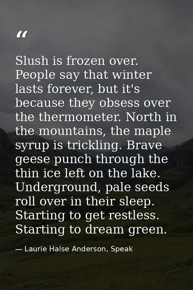 Slush is frozen over. People say that winter lasts forever, but it's because they obsess over the thermometer. North in  — Laurie Halse Anderson, Speak