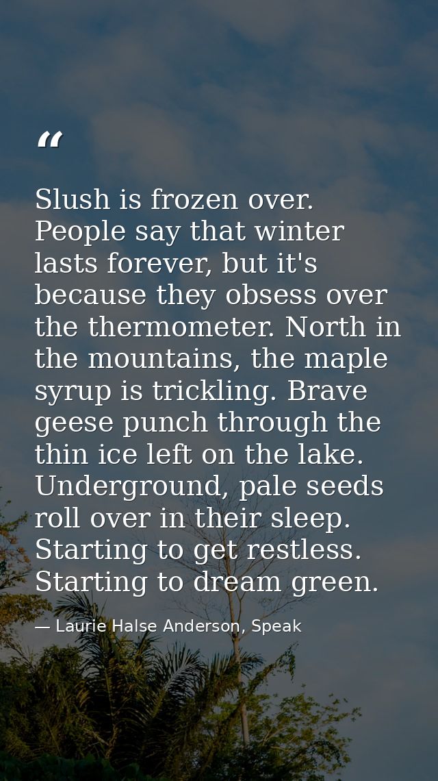 Slush is frozen over. People say that winter lasts forever, but it's because they obsess over the thermometer. North in  — Laurie Halse Anderson, Speak