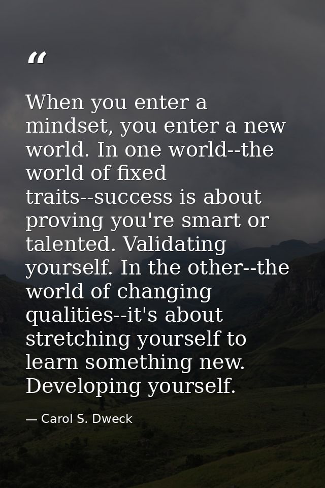 When you enter a mindset, you enter a new world. In one world--the world of fixed traits--success is about proving you'r — Carol S. Dweck