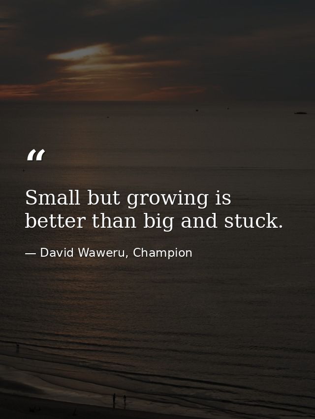 Small but growing is better than big and stuck. — David Waweru, Champion