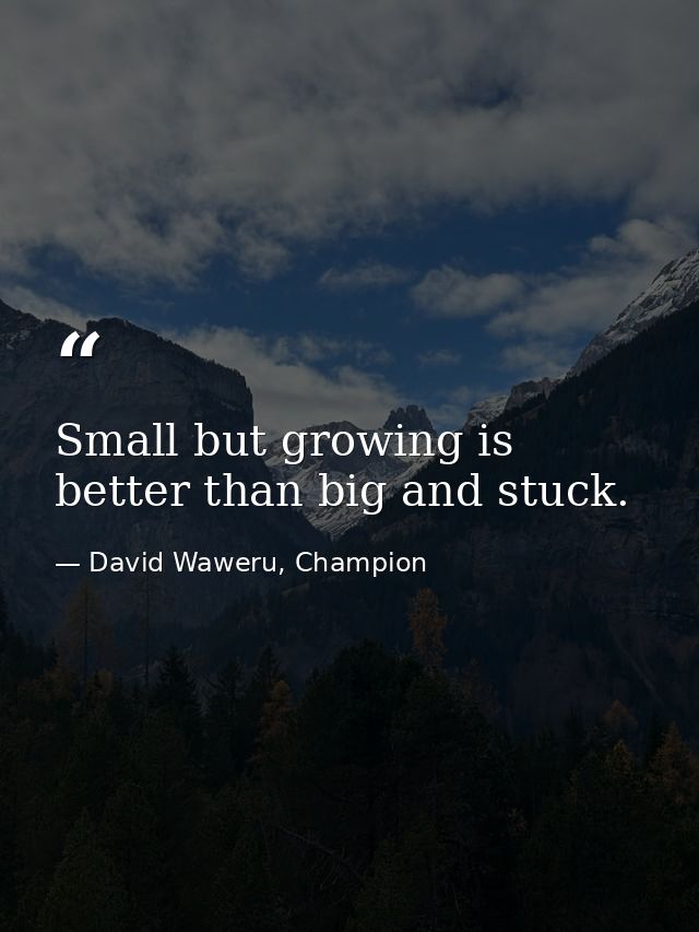 Small but growing is better than big and stuck. — David Waweru, Champion