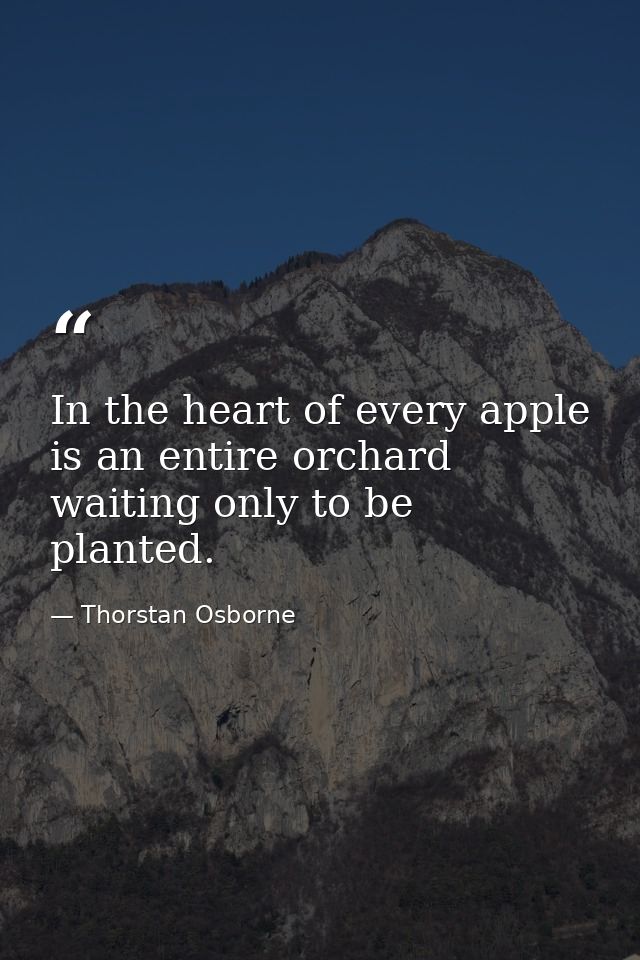 In the heart of every apple is an entire orchard waiting only to be planted. — Thorstan Osborne