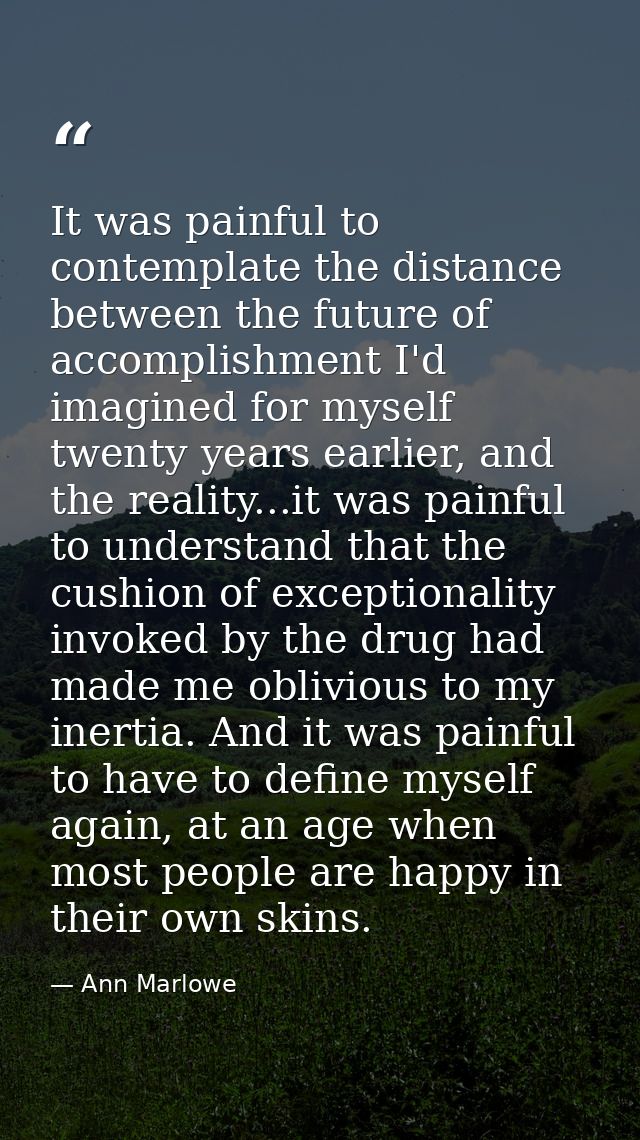 It was painful to contemplate the distance between the future of accomplishment I'd imagined for myself twenty years ear — Ann Marlowe
