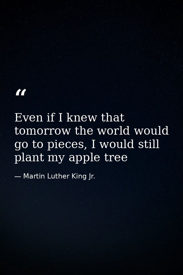 Even if I knew that tomorrow the world would go to pieces, I would still plant my apple tree — Martin Luther King Jr.