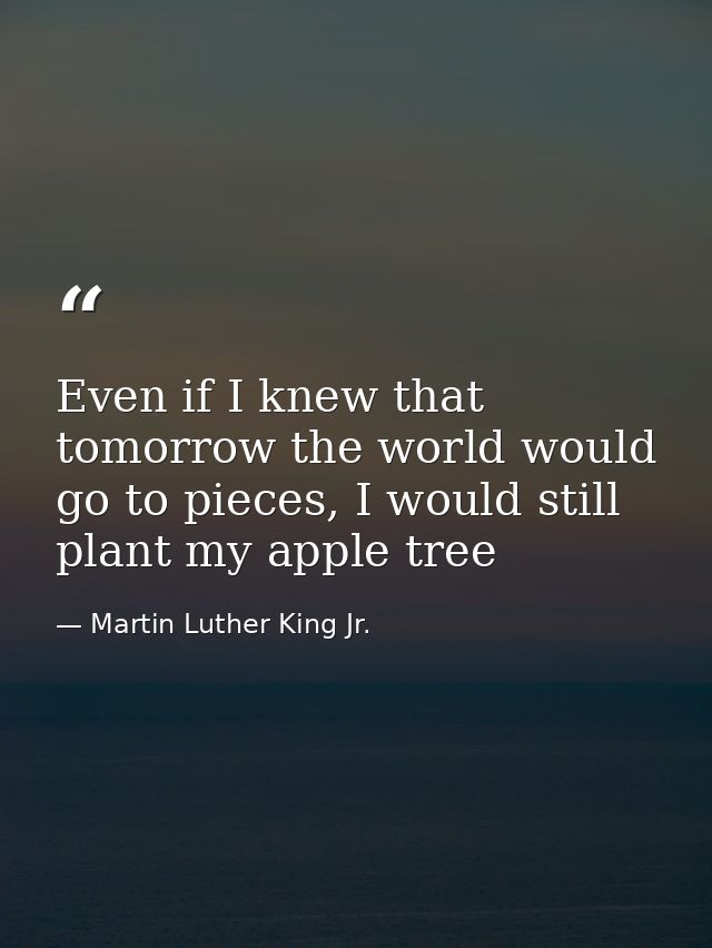 Even if I knew that tomorrow the world would go to pieces, I would still plant my apple tree — Martin Luther King Jr.