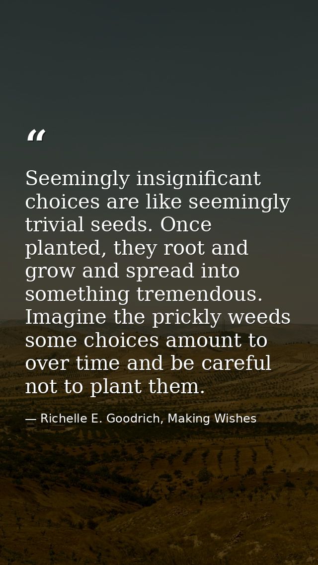 Seemingly insignificant choices are like seemingly trivial seeds. Once planted, they root and grow and spread into somet — Richelle E. Goodrich, Making Wishes