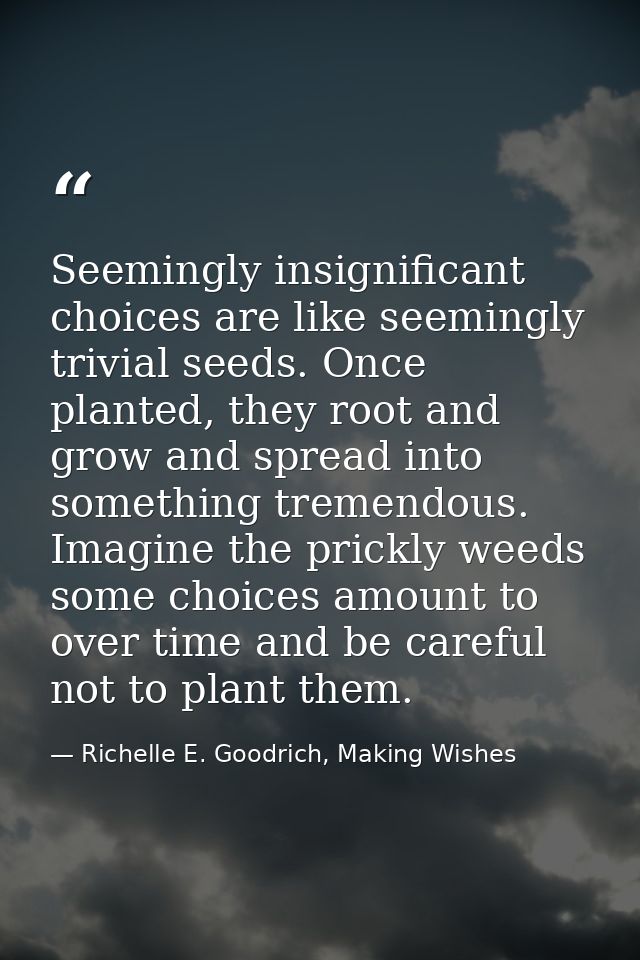 Seemingly insignificant choices are like seemingly trivial seeds. Once planted, they root and grow and spread into somet — Richelle E. Goodrich, Making Wishes