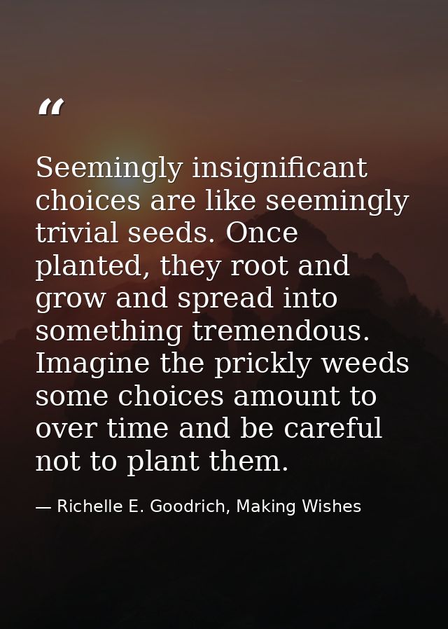 Seemingly insignificant choices are like seemingly trivial seeds. Once planted, they root and grow and spread into somet — Richelle E. Goodrich, Making Wishes