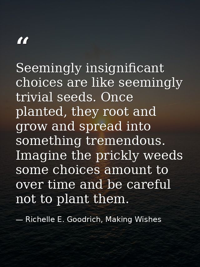 Seemingly insignificant choices are like seemingly trivial seeds. Once planted, they root and grow and spread into somet — Richelle E. Goodrich, Making Wishes