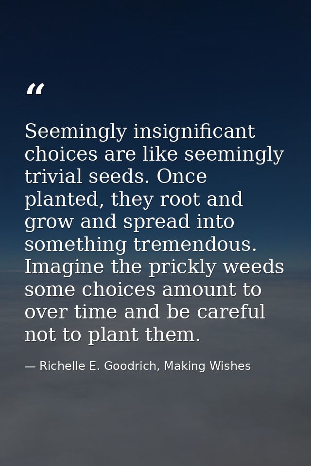 Seemingly insignificant choices are like seemingly trivial seeds. Once planted, they root and grow and spread into somet — Richelle E. Goodrich, Making Wishes