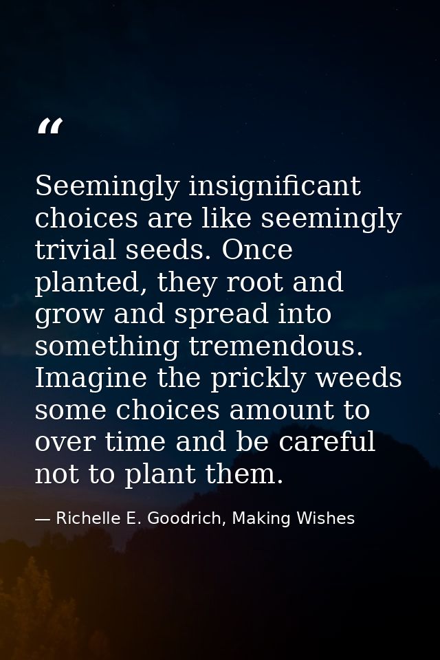 Seemingly insignificant choices are like seemingly trivial seeds. Once planted, they root and grow and spread into somet — Richelle E. Goodrich, Making Wishes