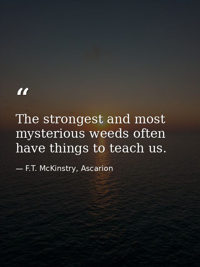 The strongest and most mysterious weeds often have things to teach us. — F.T. McKinstry, Ascarion