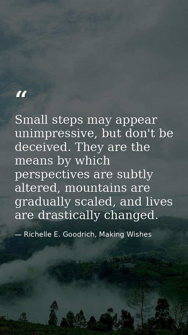 Small steps may appear unimpressive, but don't be deceived. They are the means by which perspectives are subtly altered, — Richelle E. Goodrich, Making Wishes