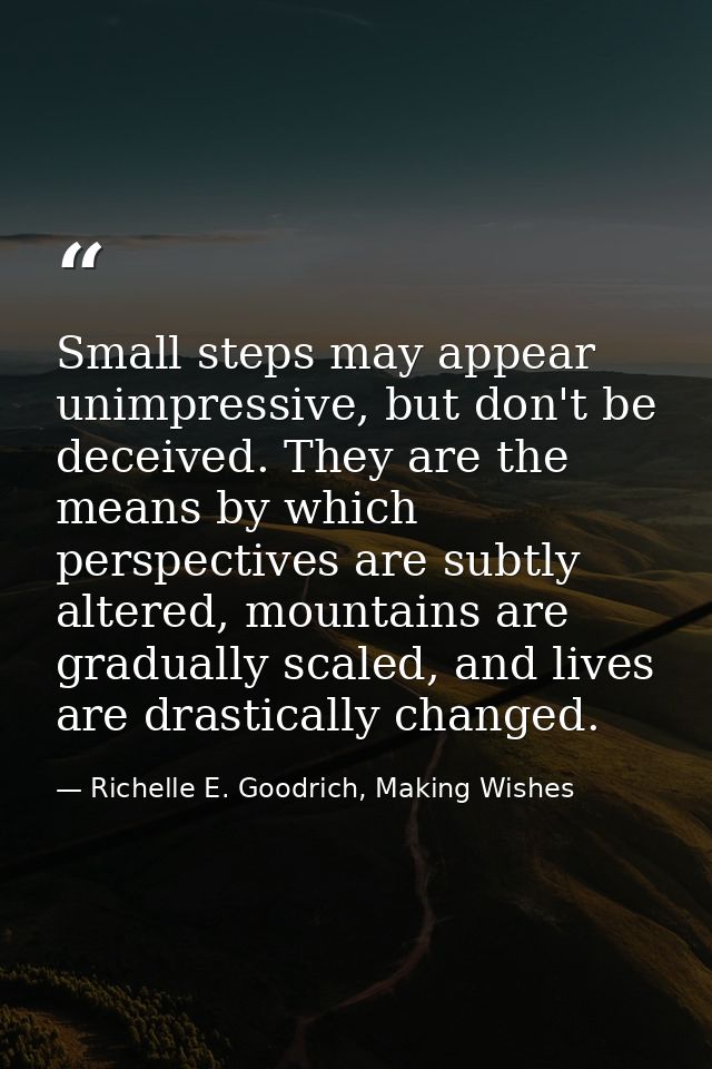 Small steps may appear unimpressive, but don't be deceived. They are the means by which perspectives are subtly altered, — Richelle E. Goodrich, Making Wishes