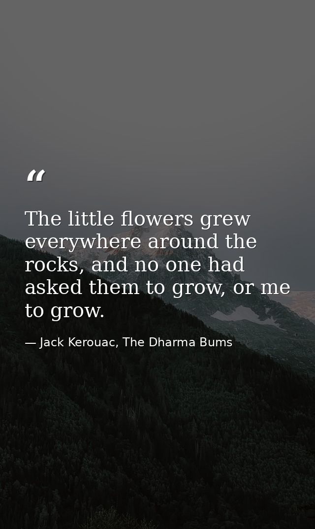 The little flowers grew everywhere around the rocks, and no one had asked them to grow, or me to grow. — Jack Kerouac, The Dharma Bums