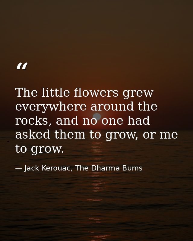 The little flowers grew everywhere around the rocks, and no one had asked them to grow, or me to grow. — Jack Kerouac, The Dharma Bums
