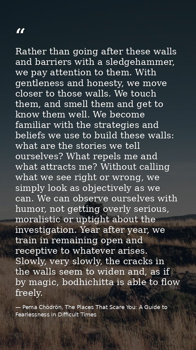 Rather than going after these walls and barriers with a sledgehammer, we pay attention to them. With gentleness and hone — Pema Chödrön, The Places That Scare You: A Guide to Fearlessness in Difficult Times