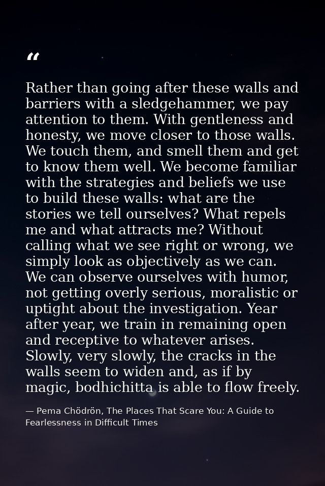 Rather than going after these walls and barriers with a sledgehammer, we pay attention to them. With gentleness and hone — Pema Chödrön, The Places That Scare You: A Guide to Fearlessness in Difficult Times