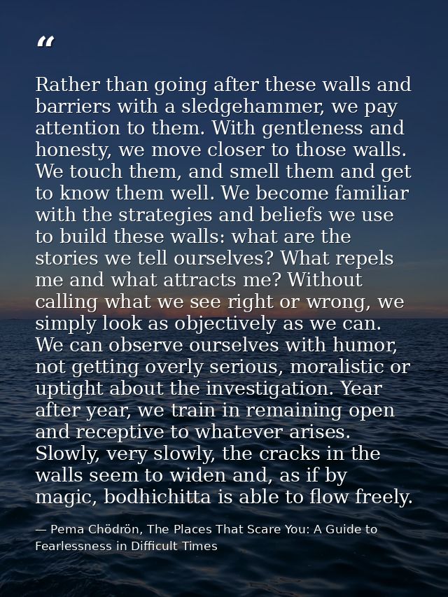 Rather than going after these walls and barriers with a sledgehammer, we pay attention to them. With gentleness and hone — Pema Chödrön, The Places That Scare You: A Guide to Fearlessness in Difficult Times