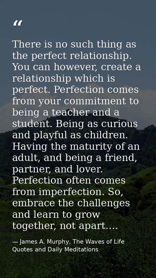 There is no such thing as the perfect relationship. You can however, create a relationship which is perfect. Perfection  — James A. Murphy, The Waves of Life Quotes and Daily Meditations