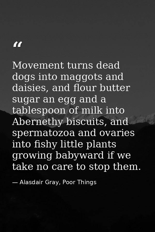 Movement turns dead dogs into maggots and daisies, and flour butter sugar an egg and a tablespoon of milk into Abernethy — Alasdair Gray, Poor Things