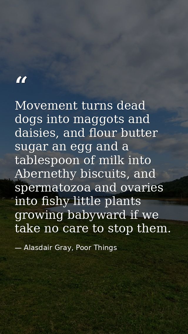 Movement turns dead dogs into maggots and daisies, and flour butter sugar an egg and a tablespoon of milk into Abernethy — Alasdair Gray, Poor Things